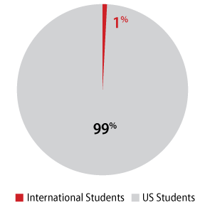 Marketing-Graphics-International-Ratio_2